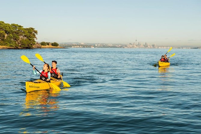 Day sea kayak tour Rangitoto Island - Rangitoto Wharf and the climb to the summit