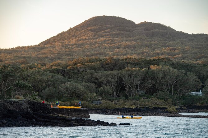 Day sea kayak tour Rangitoto Island - What the $152.04 price buys you