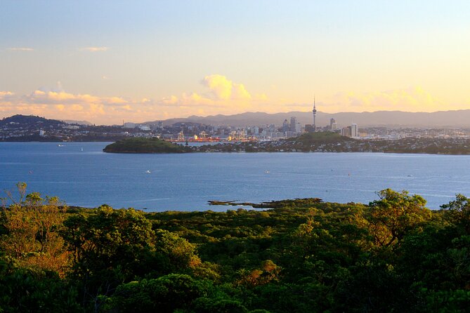 Day sea kayak tour Rangitoto Island - The first paddle across Waitemata Harbor