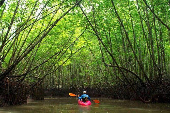 Deep Mangrove and Canyon Kayak Tour in Krabi - Key points at a glance