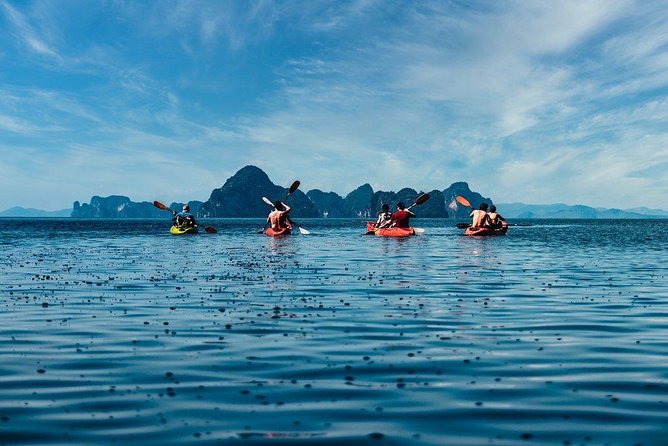 Deep Mangrove and Canyon Kayak Tour in Krabi - The mangroves, monkeys, and smaller wildlife
