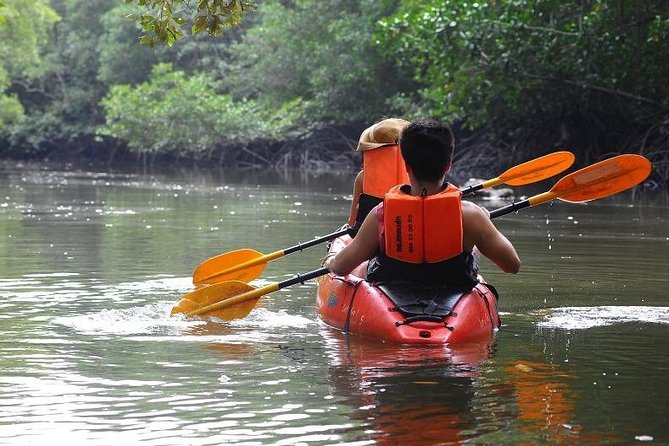 Deep Mangrove and Canyon Kayak Tour in Krabi - Who will enjoy this most
