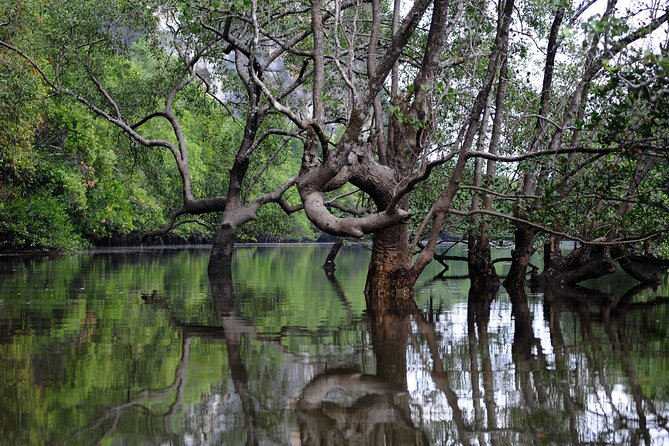 Deep Mangrove and Canyon Kayak Tour in Krabi - Weather, cancellations, and simple planning