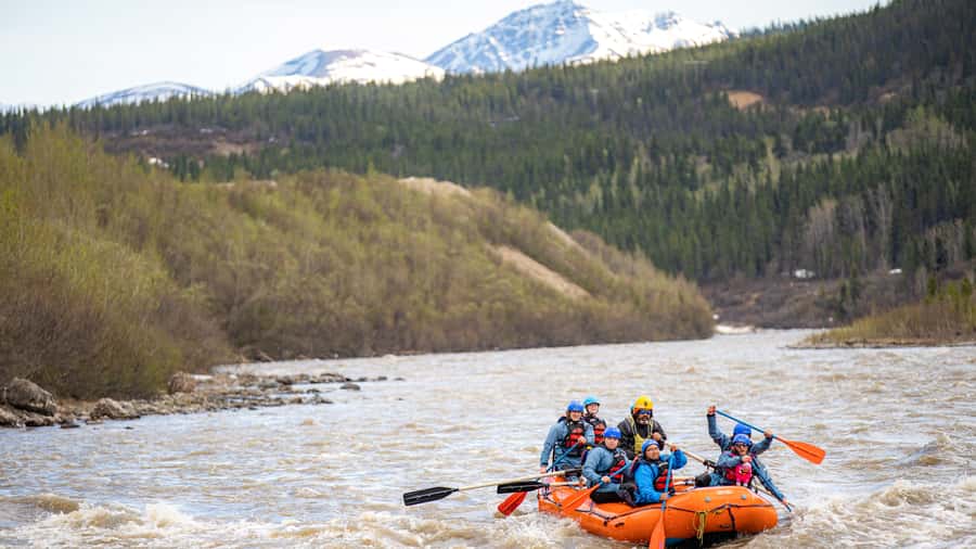 Denali, Alaska: Canyon Wave Raft Class III-IV Paddle/Oar - Guides, commands, and the practical side of safety