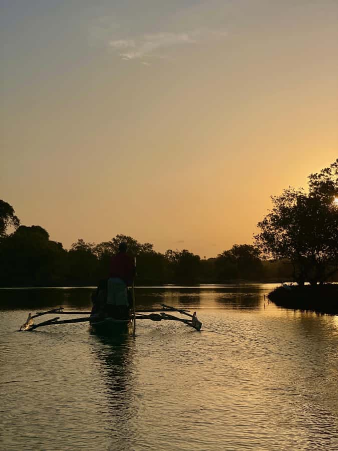 Diani: Sunset Canoe Tour along the River with Mangroves - Why this quiet canoe trip works so well