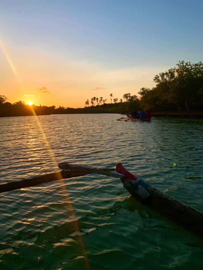 Diani: Sunset Canoe Tour along the River with Mangroves - Who should book this experience?