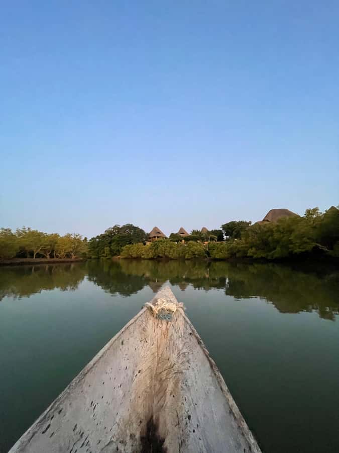 Diani: Sunset Canoe Tour along the River with Mangroves - What to bring for a comfortable outing