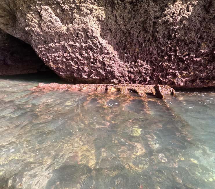 Discover Benagil Caves on a Guided Paddle-boarding Tour - What the $43 price includes