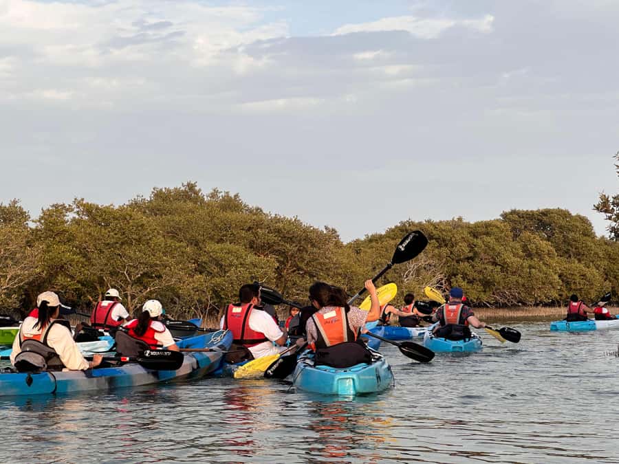 Discover Purple Island | Guided Mangrove Kayaking Experience - Tea, camp time, and the final hour