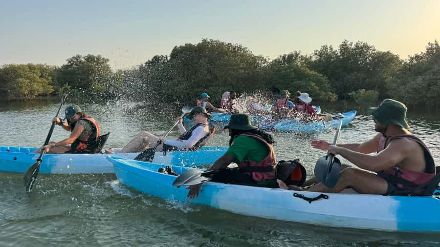 Discover Purple Island | Guided Mangrove Kayaking Experience - Who should book this outing?