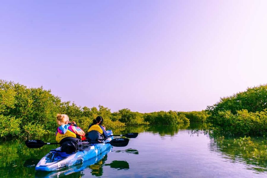 Doha: Private Purple Island Mangroves Kayaking Adventure - Why This Four-Hour Outing Is Worth Considering