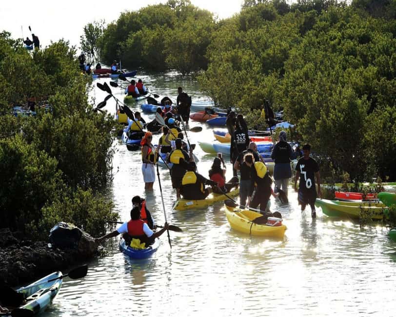 Doha: Private Purple Island Mangroves Kayaking Adventure - What $119 Per Person Buys You
