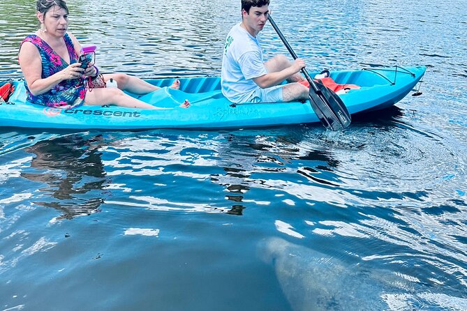 Dolphin and Manatee Kayak and SUP Adventure Tour of Cocoa Beach - Key points to know before you book