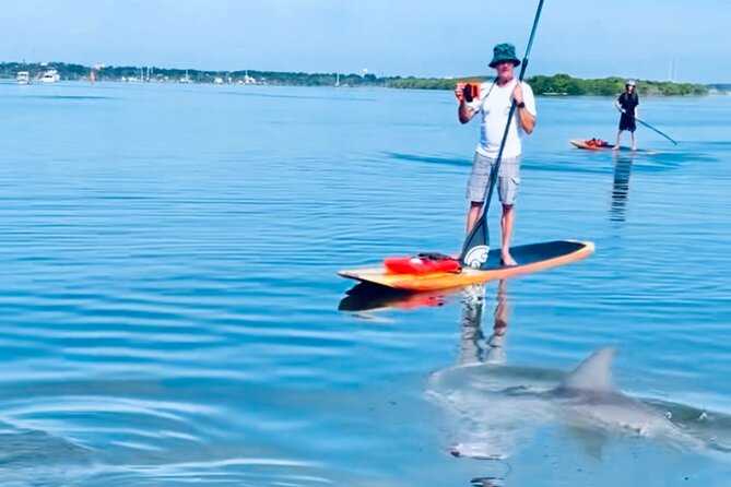 Dolphin and Manatee Kayak and SUP Adventure Tour of Cocoa Beach - Why the Banana River is the real attraction