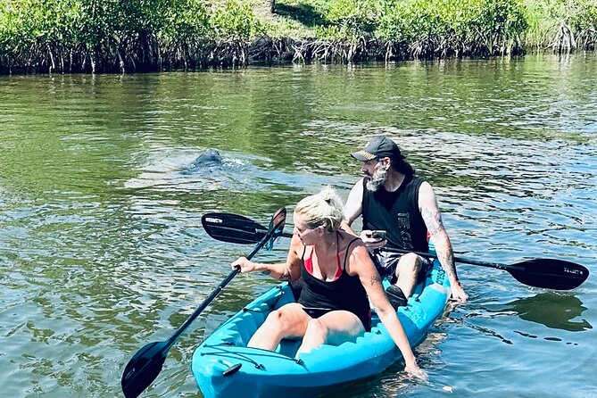 Dolphin and Manatee Kayak and SUP Adventure Tour of Cocoa Beach - A good family outing, with a few practical limits