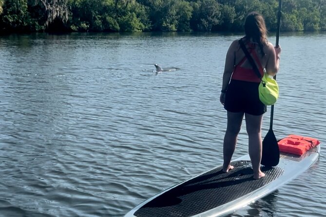 Dolphin and Manatee Kayak and SUP Adventure Tour of Cocoa Beach - Kayak or stand-up paddle board?
