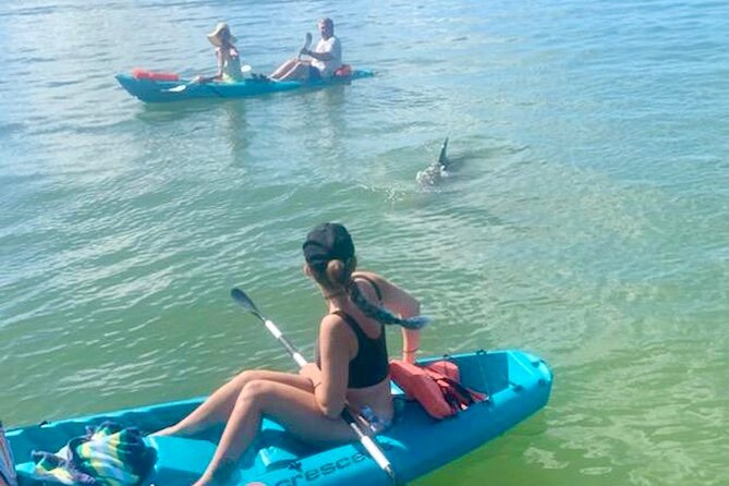 Dolphin and Manatee Kayak Tour of Daytona Beach - Key points to know before you paddle