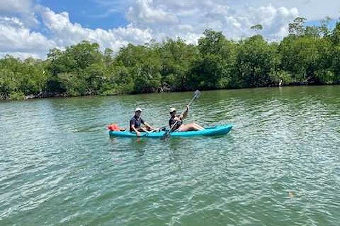 Dolphin and Manatee Kayak Tour of Daytona Beach - The guides make the trip work