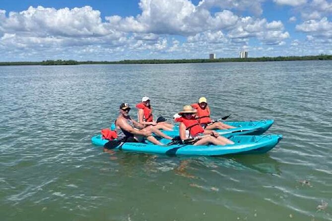 Dolphin and Manatee Kayak Tour of Daytona Beach - What the small group changes