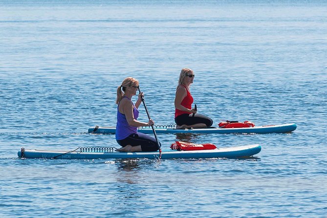 Dolphin and Manatee Stand Up Paddleboard Tour in Daytona Beach - Your first lesson takes place in a calm bay
