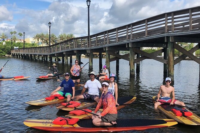 Dolphin and Manatee Stand Up Paddleboard Tour in Daytona Beach - Canals where wildlife may appear