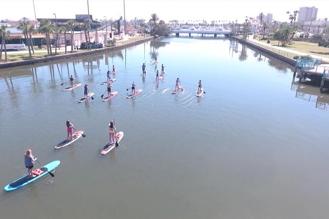 Dolphin and Manatee Stand Up Paddleboard Tour in Daytona Beach - Who should book this Daytona Beach paddle?