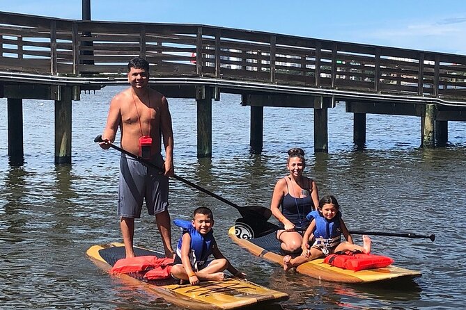 Dolphin and Manatee Stand Up Paddleboard Tour in Daytona Beach - Under seven bridges and around the island