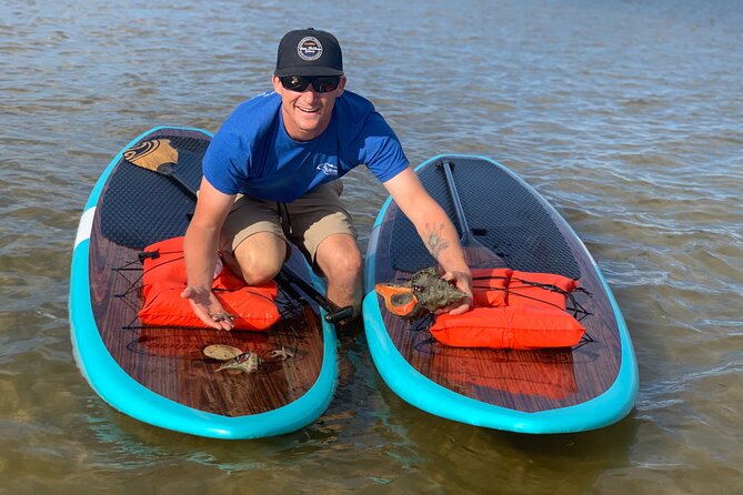 Dolphin and Manatee Tour of Marco Island by Kayak or SUP - Key points to know before booking