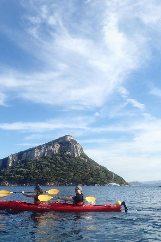 Dolphin Kayak Safari at Sunset at Golfo Aranci - Finding the White Van at Prima Spiaggia