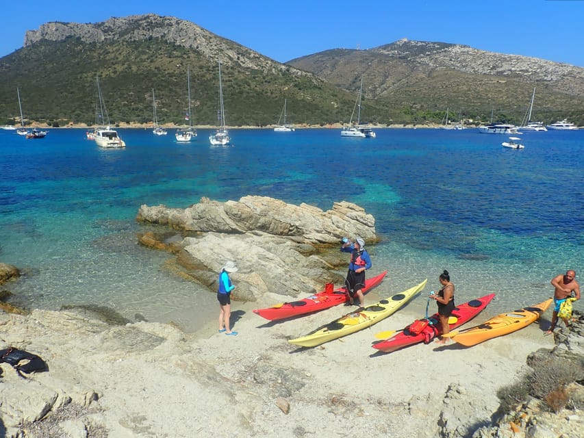 Dolphin Kayak Safari at Sunset at Golfo Aranci - Snorkeling in Clear Golfo Aranci Water