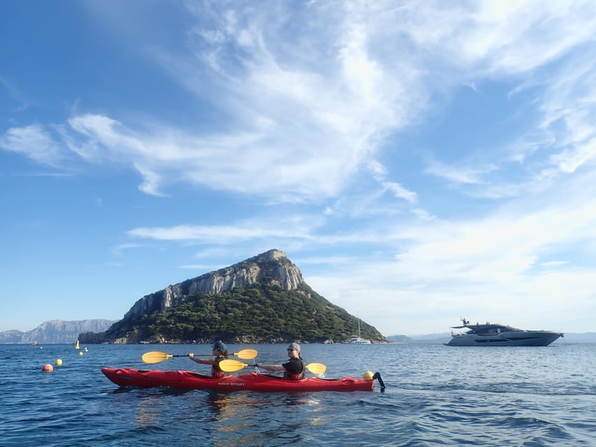 Dolphin Kayak Safari at Sunset at Golfo Aranci - What Makes the Guide Valuable