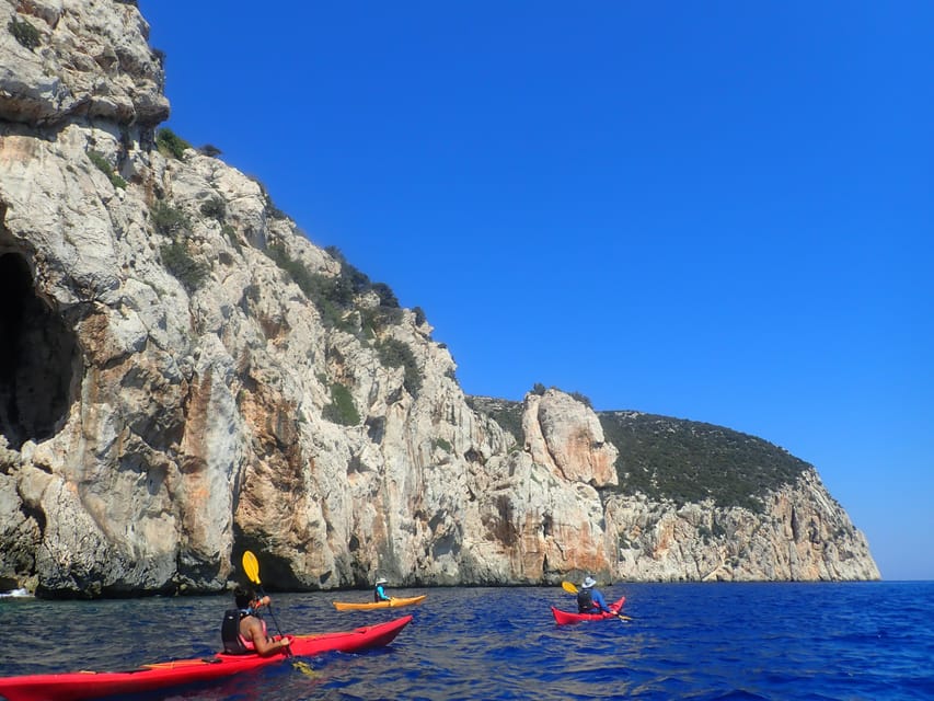 Dolphin Kayak Safari at Sunset at Golfo Aranci - What to Bring and How to Prepare