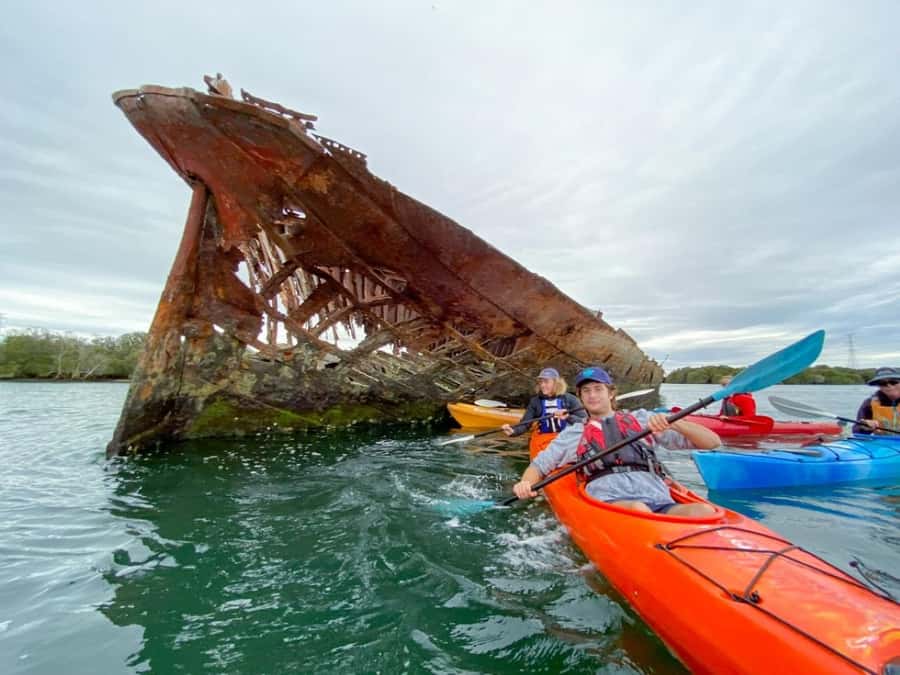 Dolphin Sanctuary and Ships Graveyard Kayak Tour - Following the Port River dolphins