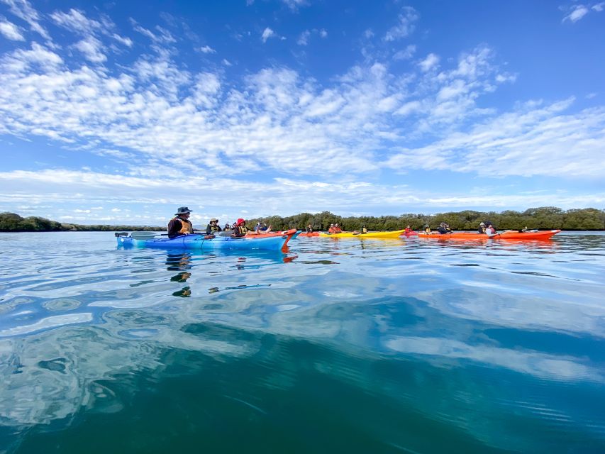 Dolphin Sanctuary and Ships Graveyard Kayak Tour - The guides make the difference