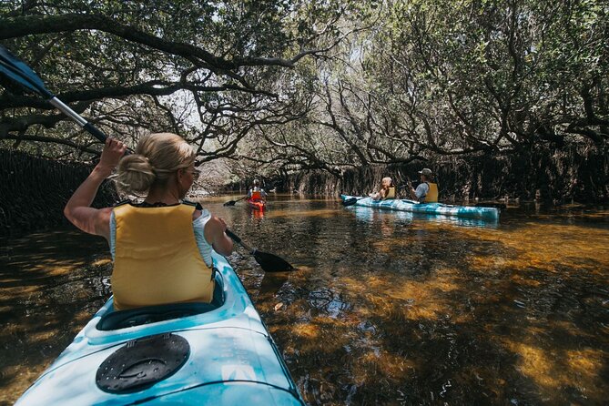 Dolphin Sanctuary Kayak Tour Adelaide - Paddling into Adelaide’s Dolphin Sanctuary