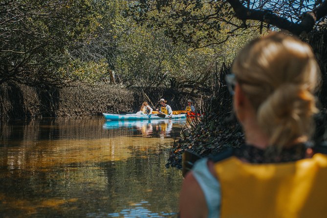 Dolphin Sanctuary Kayak Tour Adelaide - Looking for dolphins without chasing them