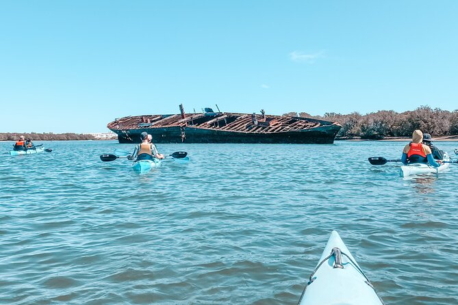 Dolphin Sanctuary Kayak Tour Adelaide - How hard is the three-hour paddle?