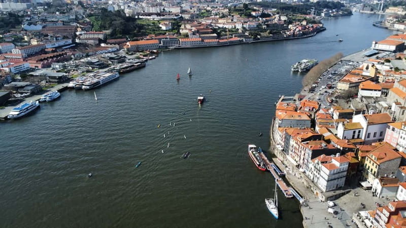 Douro River Kayak or Standup Paddleboard Tour - Starting at Marina do Freixo