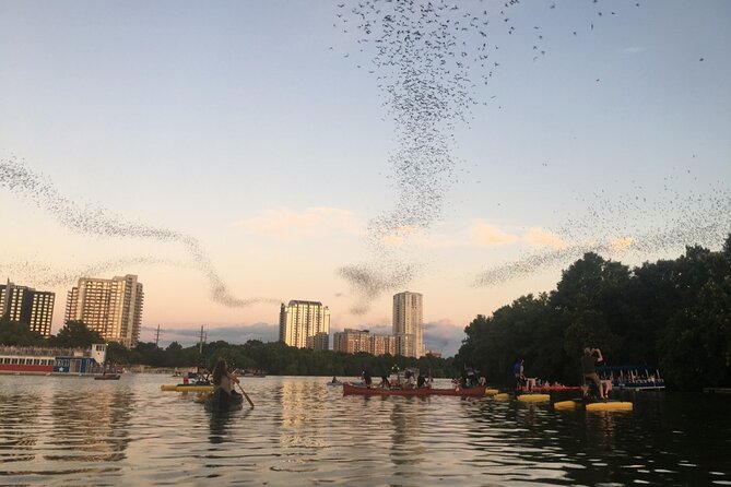 Downtown Austin Sunset Kayak Tour with 1.5 Million Bats - Key points to know before booking