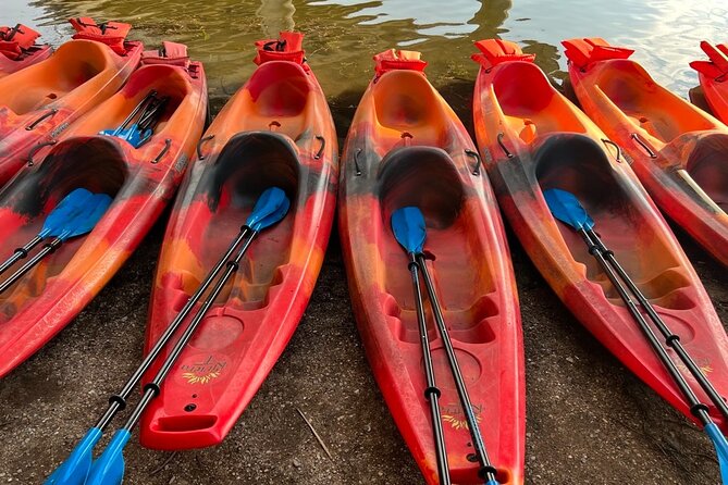 Downtown Austin Sunset Kayak Tour with 1.5 Million Bats - Practical tips for a smoother evening