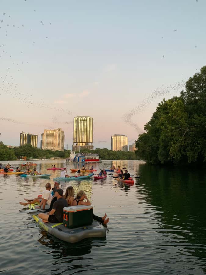 Downtown Sunset Tandem Kayak with 1.5M Bats - Sunset from the water