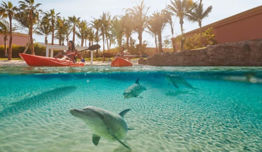 Dubai: Atlantis Dolphin Kayak Trip & Aquaventure Waterpark - Key points to know before you book