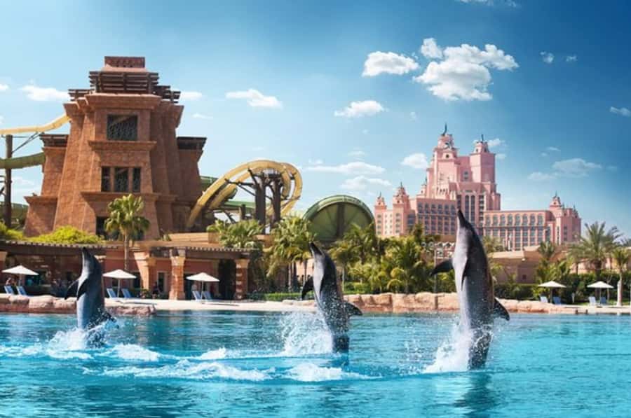 Dubai: Atlantis Dolphin Kayak Trip & Aquaventure Waterpark - Kayaking in Dolphin Bay Lagoon at Atlantis