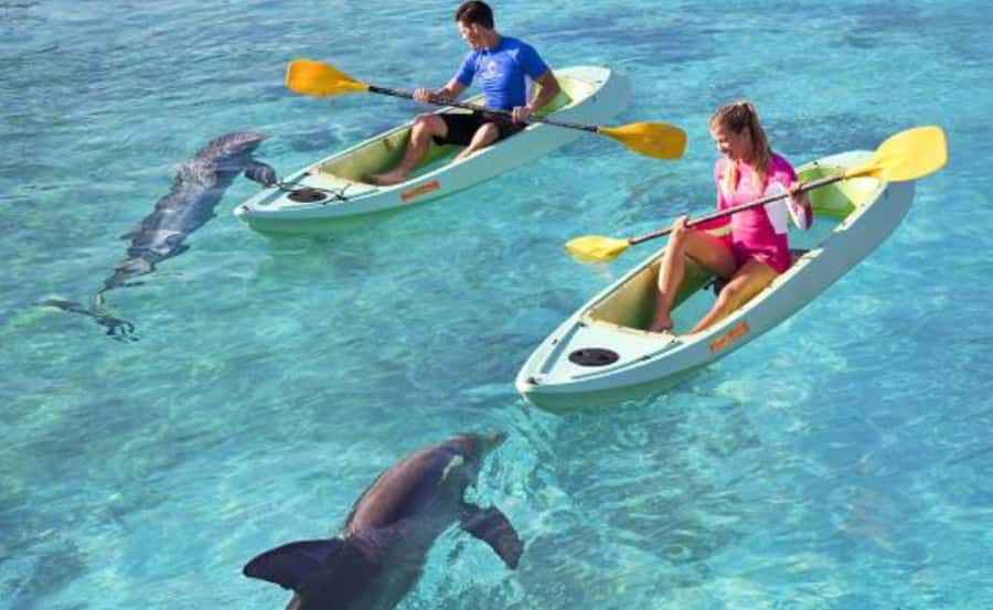Dubai: Atlantis Dolphin Kayak Trip & Aquaventure Waterpark - From the lagoon to Aquaventure’s 105 attractions