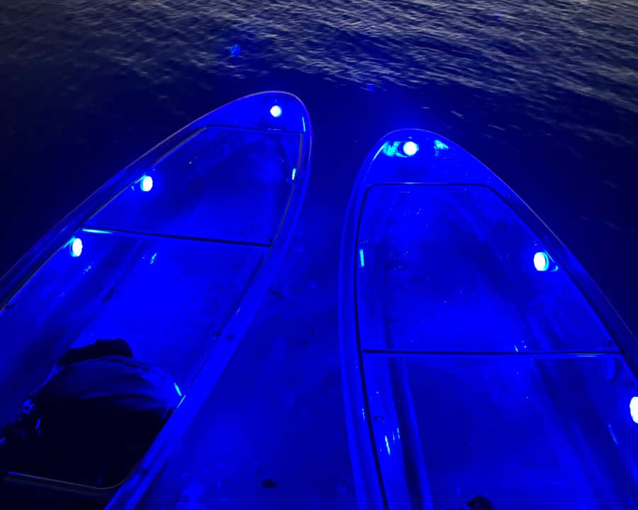 Dubai: Night Kayaking Tour - Photos, guides, and the human side of the outing