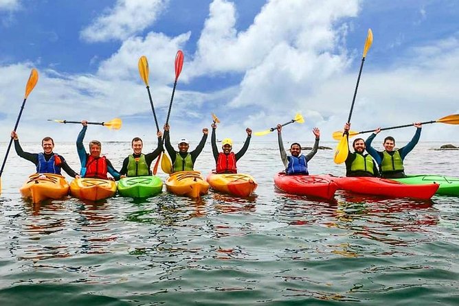 Dublin Bay Seal Kayaking Safari at Dalkey - Dalkey Island when conditions cooperate