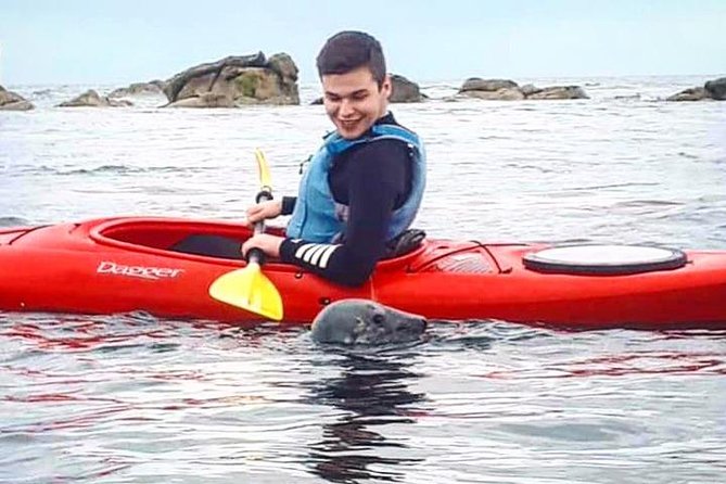 Dublin Bay Seal Kayaking Safari at Dalkey - Learning to paddle before meeting the seals