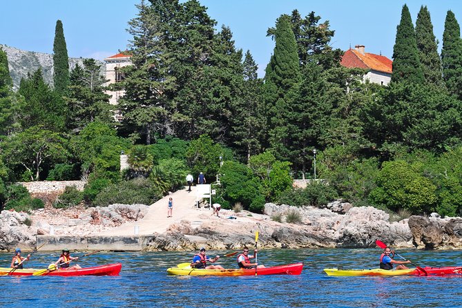 Dubrovnik: Sea Kayaking & Snorkeling Tour - The return trip can be the hardest part