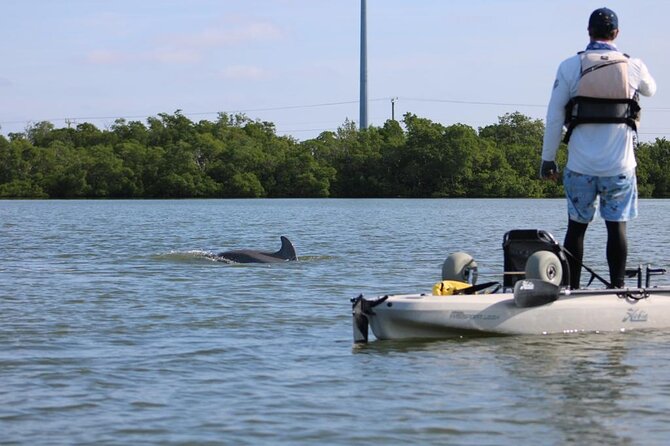 Easy Ride Pedal Kayak Tour Marco Island & Naples (Pedal or Paddle - What the two-hour schedule feels like