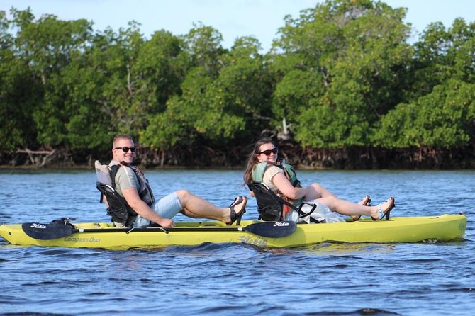 Easy Ride Pedal Kayak Tour Marco Island & Naples (Pedal or Paddle - Should you book the Marco Island pedal kayak tour?